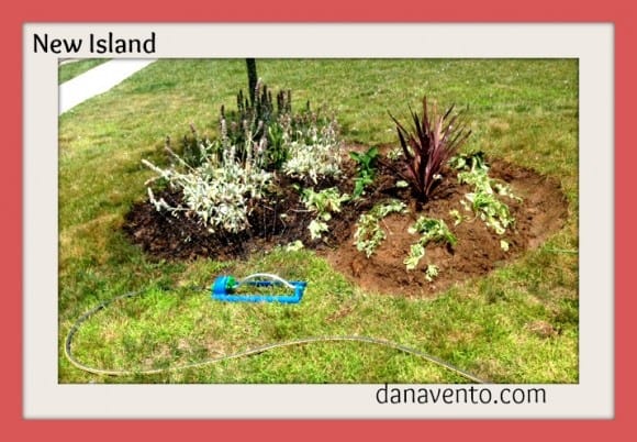 DIY: Cutting In A New Bed Outdoors, cutting in a new island, gardening, diy, bed, new bed, planting, autumn, fall, how to, dana vento, outside, outdoor