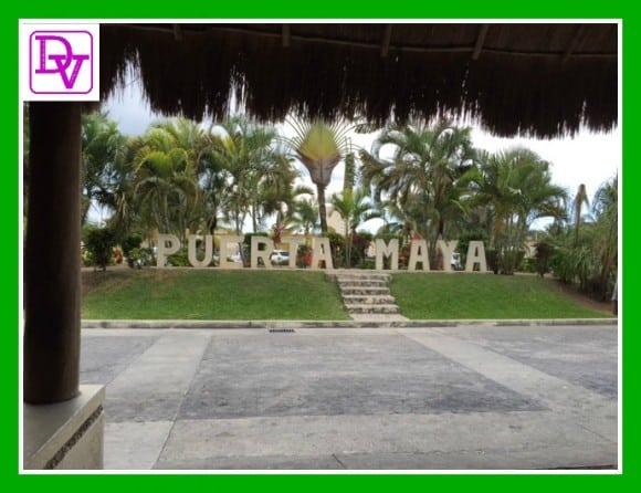 tours plaza in cozumel, travel, vacation, destination, family, tours, vans, private car driver, inside Cozumel, transportation, tourism, vacations, traveling, sightseeing, dana vento, cruising, flights, cars, tour guides, 