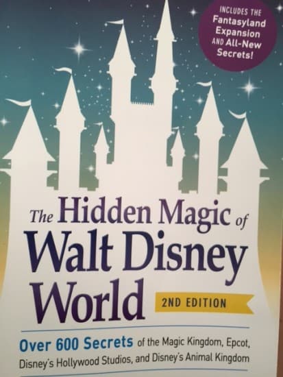 Hidden Magic of Disney, traveling to Disney parks, animal kingdom, disney, epcot, travel blogger, story, book, read, main street, dana vento, florida, planning. learning about Disney