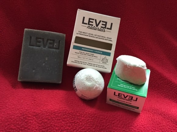 Level Naturals, holiday gift list