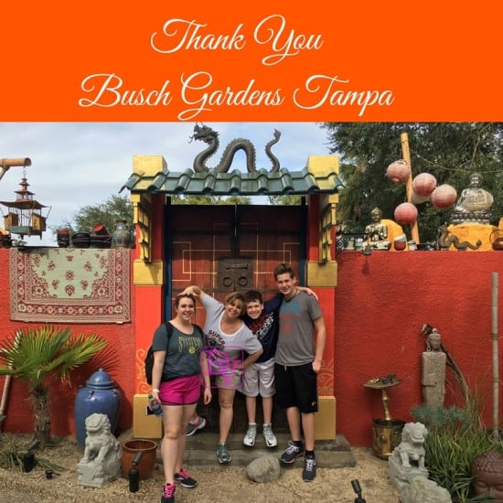 14 Things You Need To Know About Busch Gardens Tampa,14 Things You Need To Know About Busch Gardens Tampa,cheetah hunt, bengal, sand serpent, dragon fire grill, Pantopia, serpent, all day dining deal, breakfast, zagora cafe, eggs, toast, potatoes, coffee, beverages, jello, fast food, patio dining, outdoor, under cover, Morocco, busch gardens, tampa, orlando, central florida, theme park, family park, family adventure, family travel, travel blog. travel blogger, fun, rides, shows, animals, entertainment, tickets, food, coaster, shopping, walkable, travel, vacation, destination, adventure, fam tour, fam travel, ice cream, popcorn, alcohol, beverages, bathrooms, large, trains,