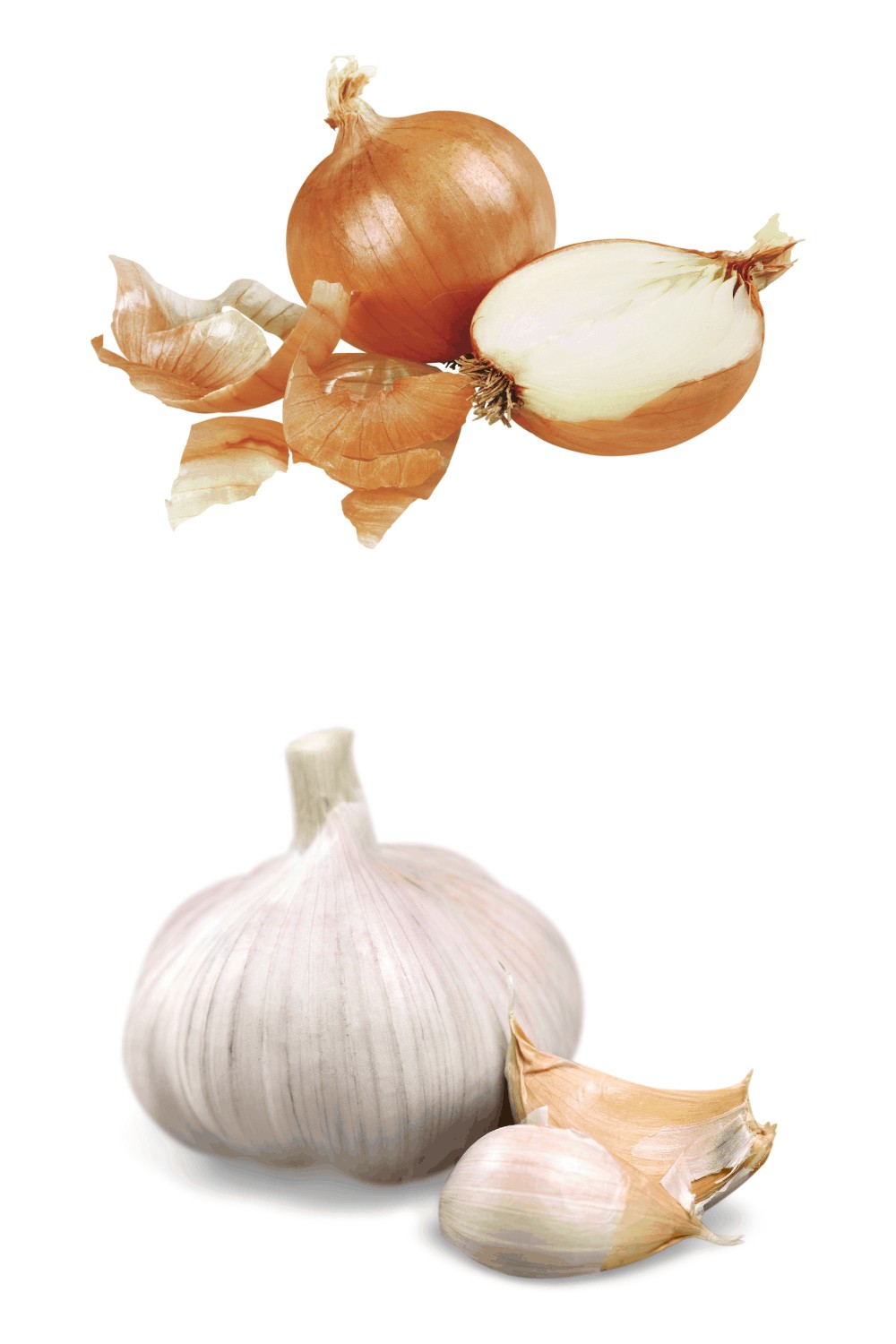 onions and garlic 