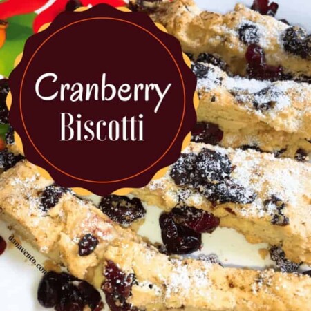 cranberry biscotti, recipe, recipes, easy to make, fast, delicious, crunchy, tangy, baking, yummy, in house, homemade, holidays, coffee, tea, dunk, eat, treat, sweet tooth, craving, cookies, how to, diy, diy baking, diy recipe, dana vento, food writer, food blogger, food recipe, dessert recipe, breakfast, snack, dessert, Ocean Spray® Craisins® Dried Cranberries p