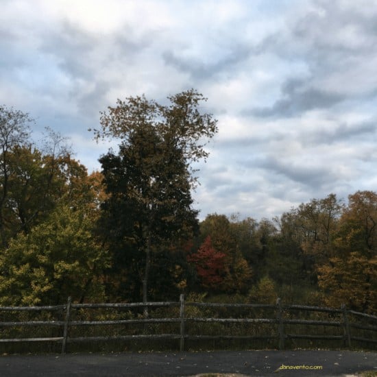 Park trail with cloudy skies