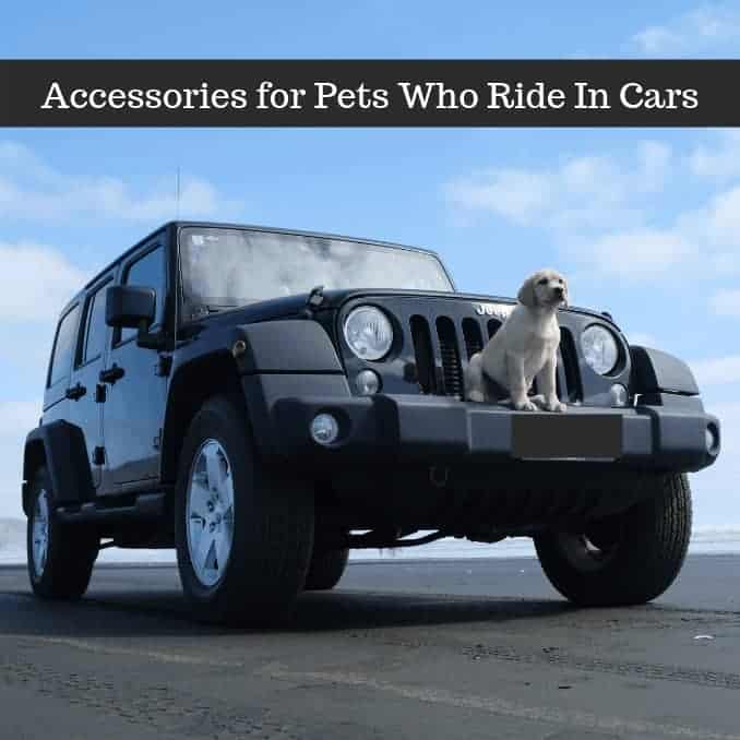 accessories, pets, accessories for pets who ride in cars, car, car blogger, travel, safe travel,car, cars, autos, vehicle,vehicle ownership, rims,, features, auto blogger, auto writer, car, cars, driving, trips, safe trips, illumination, how to, facts, tips, car tips, car care tips
