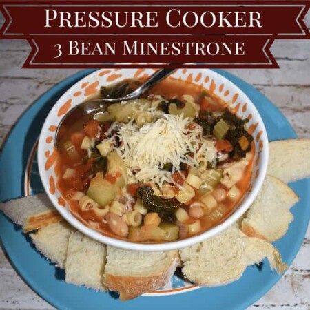 Pressure Cooker 3 bean minestrone soup, soup, celery, onion, meatless, vegetarian, onion, broth, veggie broth, fast cooking, recipe, recipes, easy recipe, food, kitchen prep, pressure cooker, pressure cooker recipe, warm soup, hearty soup, crusty bread, bowl of soup, soup in a bowl, serve warm, soup for parties, soup for football games, soup for potluck dinners, minestrone vegetables, veggies, veggies in minestrone, diy, dana vento, foodie, food writer, food blogger