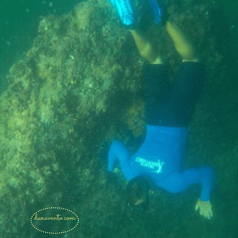 Under the water snorkeling Los Arcos in Puerto Vallarta 