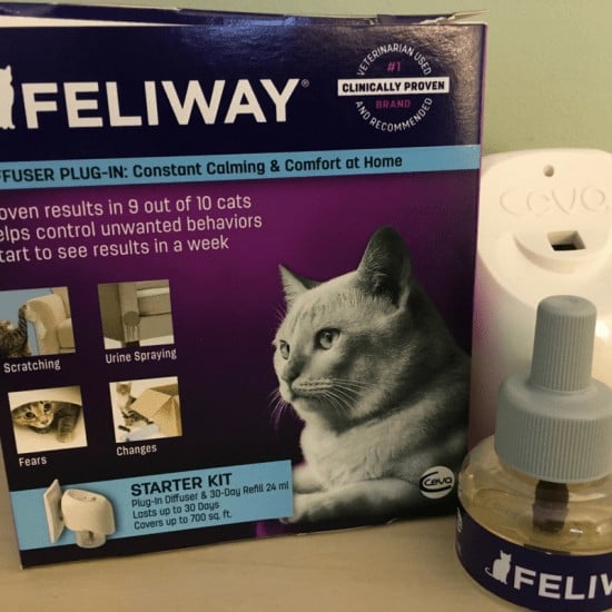 3 Tips For Cats, Fleas and Pheromones