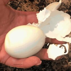 hard-boiled egg from an Instant Pot in my hand with shell in one piece