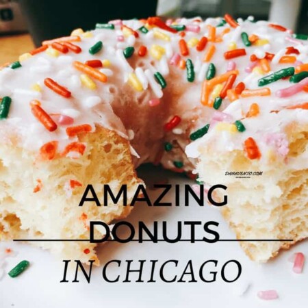 Sprinkled Stan's Donut in Chicago