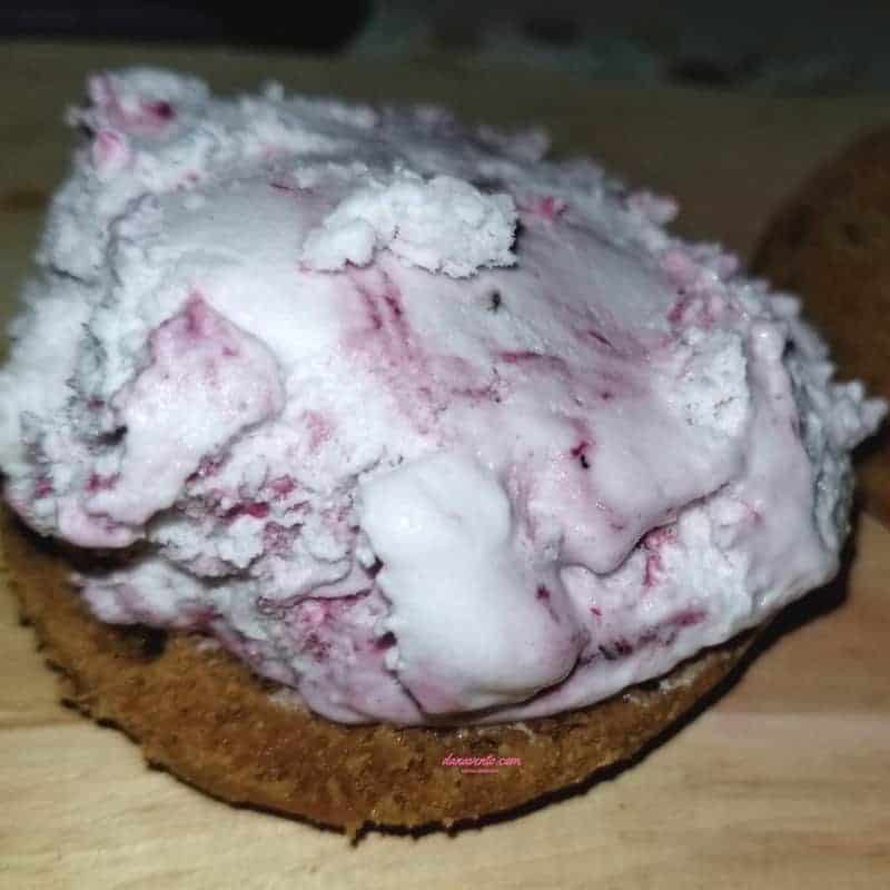 Black Raspberry Ice Cream 