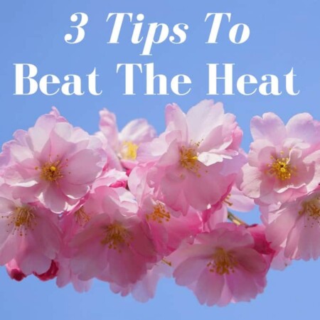 3 tips to beat the heat, water, shade, supplements, tips, tricks, healthy lifestyle