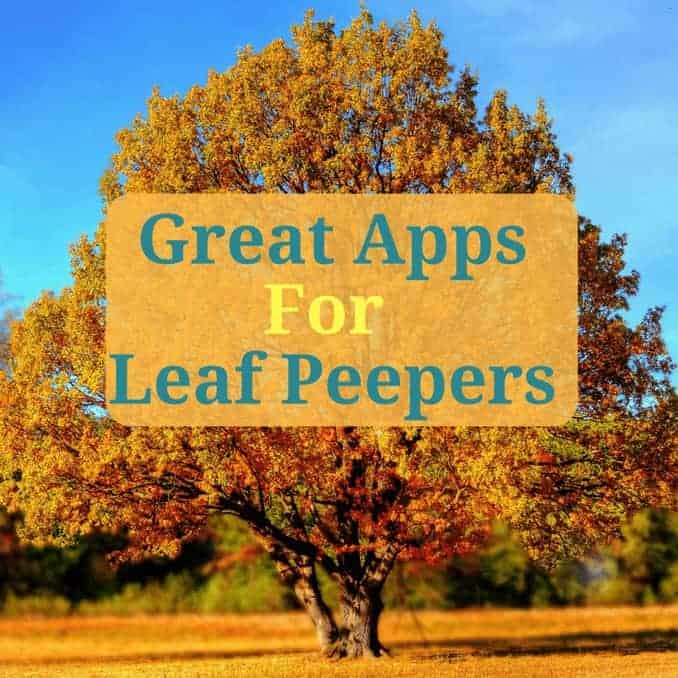 Great Apps For Leaf Peepers - Enjoy Fall Foliage To The Extreme