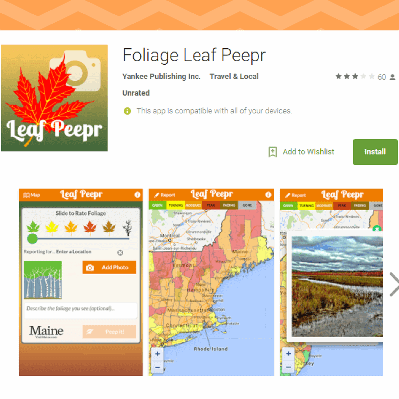 foliage leaf peeper app, Rest Area Finder, Leaf Peeper App, travel, travel and journey, fall, autumn, foliage, leaves, changing leaves, color, fall color, drive, see, visit, usa travel, usa peepers, apps, apps for peepers, Great Apps For Leaf Peepers, Verizon Wireless, Better Matters, Android, iOS, apps and help, useful apps, tech and apps, tech, smartphones, smartphones and travel, traveling with smartphones, Travel, Traveler, Traveling, Travel and Adventure, conquer the world, globe trotting, beautiful destination, bucket list avenger, travel blog, travel blogger, travel the world, see the world, travel deeper, travel destination, single, couples, families, activities, where to, explore more, tourism, passion passport, travel blogging, travel article, where to travel, travel tips, travel envy, travel knowledge, activities, fun activities, daring activities, travel large, Car travel, travel by car, travel by vehicle, auto travel, traveling together, diy, packing, travel packing, travel tips, travel advice, travel essentials, toss these in, luggage, packing, more travel fun, travel and adventures, family adventure time, couple adventure time, brighten up, clean up, pack up, food, food in car, food for travel USA Travel Passport Travel Family Travel Family Adventures Couples Singles Romantic