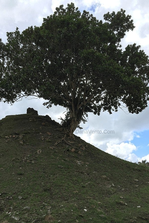 Tourism, Country of Belize, Belize, beaches, Mayan Ruins, travel, vacation, destination, dana vento, traveler, travel bug, travel blogger, family, western Caribbean, tropical, alta hun, mayan ruins, ALTUN HA