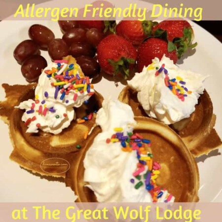 Allergen friendly dining at the great wolf lodge, A Weekend Getaway At The Great Wolf Lodge Poconos.Great Wolf Lodge, Great Wolf Lodge Poconos, Great Wolf Lodge Adventure, Poconos, Pennsylvania, Family Getaway, allergen friendly dining, Grizzly Bear Suite, Waterpark, activities, kitchenette, 3 sleeping area, 2 bathrooms, games, arcade, shopping, dining, Starbucks, Story time, Spa, Bowling, Glow in the dark golf, fast food, fun food, teens, toddlers, prek, elementary school, lifeguards, water rides, tubing, wave pool, hot tub, body slides, board slides, basketball, towels provided, adventures, wolf pass, souvenirs, walking, steps, magiquest, magic, wands, hallways, corridors, fun staff, plenty of parking, wristbands, coffee pot, refrigerator, Travel, Traveler, Traveling, Travel and Adventure, conquer the world, globe trotting, beautiful destination, bucket list avenger, travel blog, travel blogger, travel the world, see the world, travel deeper, travel destination, single, couples, families, activities, where to, explore more, tourism, passion passport, travel blogging, travel article, where to travel, travel tips, travel envy, travel knowledge, activities, fun activities, daring activities, travel large, Car travel, travel by car, travel by vehicle, auto travel, traveling together, diy, packing, travel packing, travel tips, travel advice, travel essentials, toss these in, luggage, packing, more travel fun, travel and adventures, family adventure time, couple adventure time, brighten up, clean up, pack up, food, food in car, food for travel. Pennsylvania, travel writer, family travel, adventure for the family, where to take families,food, dining, dining out, allergies and food, dining out with nut allergies, latex allergies, allergies to fruit, allergies to honey, allergies to seafood, dining with severe food allergies
