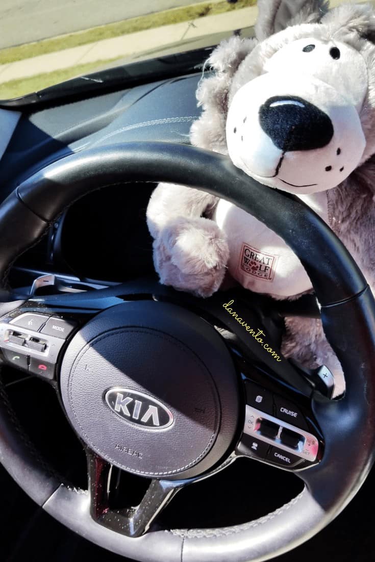 Kia Test Drive in a Kia Cadenza Limited 