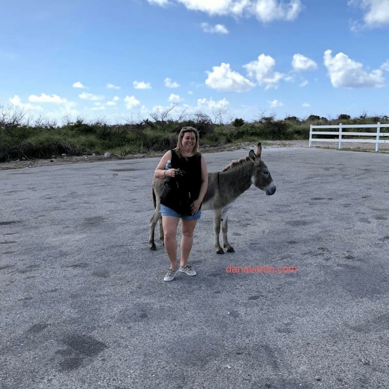 Discover Grand Turk photo with donkey be careful 