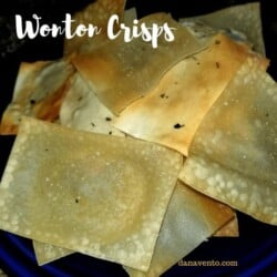 Wonton Crisps