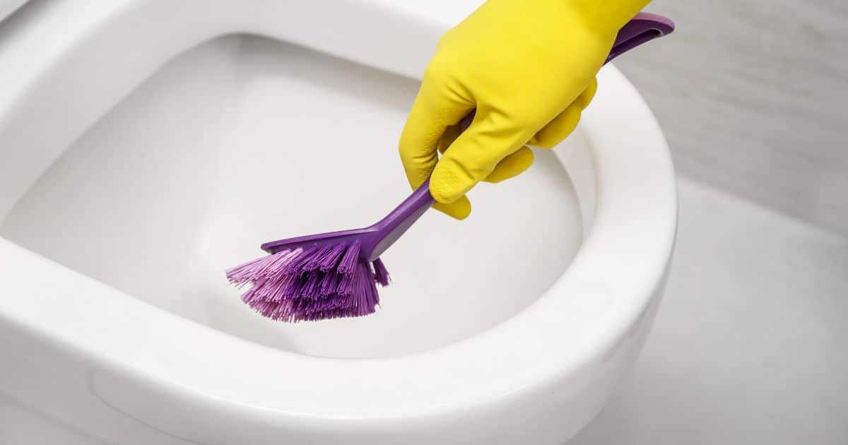 Bathroom Spring Cleaning Tips clean the toilet