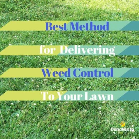 Best Method For Delivering Weed Control To Your Lawn, Diy, diy blogger, redo, redecorate, freshen, tips, tricks, around the house, projects around the house, seasonal projects, monthly projects, why, tips and tricks, outdoor maintenance, curb appeal, do outside work, RYOBI Outdoor Tools, RYOBI Expand-It, Clean-Up, Overhaul, lawn, trees, walkways, sidewalk, tall trees, pruning, edging, 40 V Battery, rechargeable, suggestions, products, easy, fast, makes a difference, cleaning, cleaning up, how to, why to, what room, indoor, outdoor, RYOBI 18V Cordless 2-Gallon Chemical Sprayer, rechargeable battery, One Plus, Outdoor tools, easy to use. long wand, fast, no pumping, 2 gallons, spray, mix, go, shoot weeds, ergonomically friendly, fast, and easy, weeds, lawn weeds, broad leaf weed killer, rain, kids, pets, concentrate, focus, spray, tips, tricks, ideas,