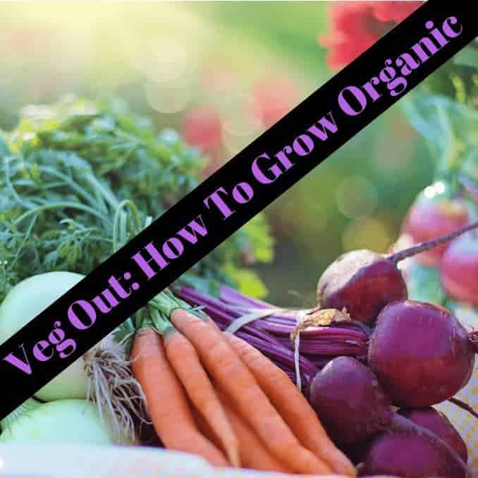 Veg Out: How To Grow Organic 