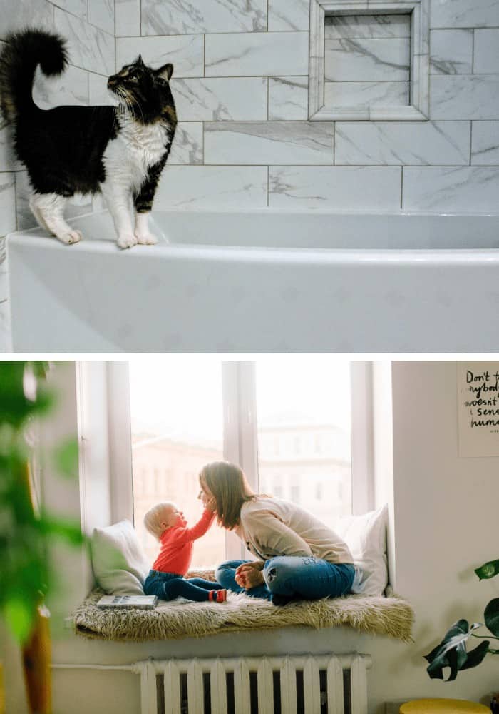 Pets and nooks make your house a home 