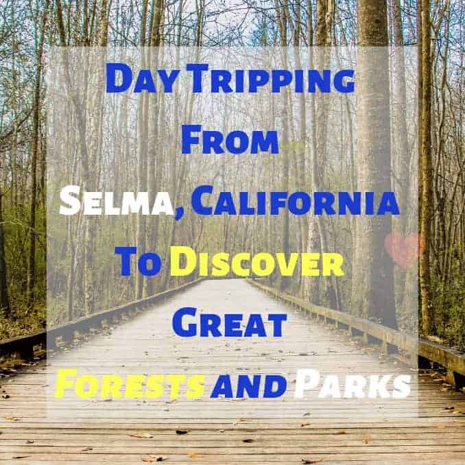 Day Tripping From Selma California To Discover Great Forests and Parks ,camping, skiing, snowmobiling, hiking, 4wd, driving, family time, getaway, adventure, California, outdoors, day trips, over night, nearby, 3 hours or less, trucks, jeeps, 