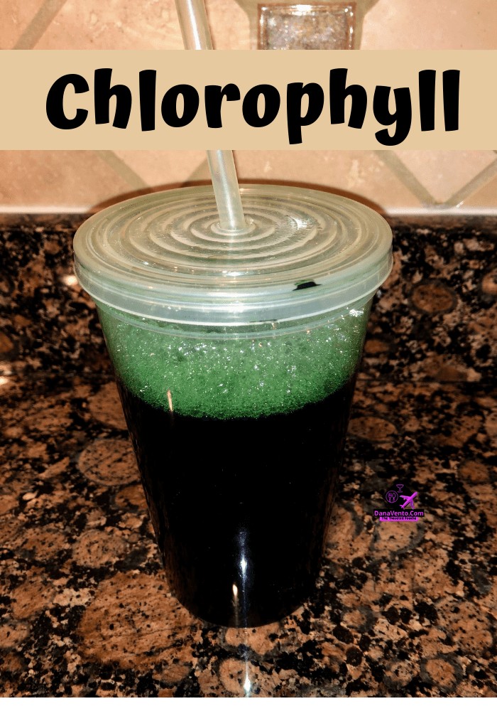 Helping Your Body Go GREEN, Avocado, Ceylon Cinnamon, Chlorphyll, Avocado, health, new year, new you, what to do, bagels without bagels. no bagels, no carbs, workout, cardio, low blood sugar,self help