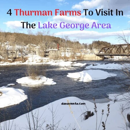 4 Thurman Farms To Visit In The Lake George Area, Thurman, Lake George Area, Lake George, Outdoor, Farms, Indoor, Activities, Things to Do, Thurman Maple Days, Fall, Winter, Summer, Spring, Organic, Farms, Veggies, Vegetables, Meats, Breads, Jams, Arts, Crafts, Wood, Lumber, Artisan Crafted, Jewelry, Lucyann Beads, Nettle Meadow, Martin's Lumber, Blackberry Hill Farm and Sanctuary, Animals, Goats, Cats, Dogs, Lambs, Sheep, Pigs, Cows, Ducks, Eggs, Fresh Eggs, Award Winning Cheeses. Whole Foods, Crafts, Maple Syrup, Fresh, Taps, Process, healthy, shop. souvenirs, gift shops, create, bake, taste, experience, New York, Travel Writer, Culinary Travel, backcountry, Jack and Dianne