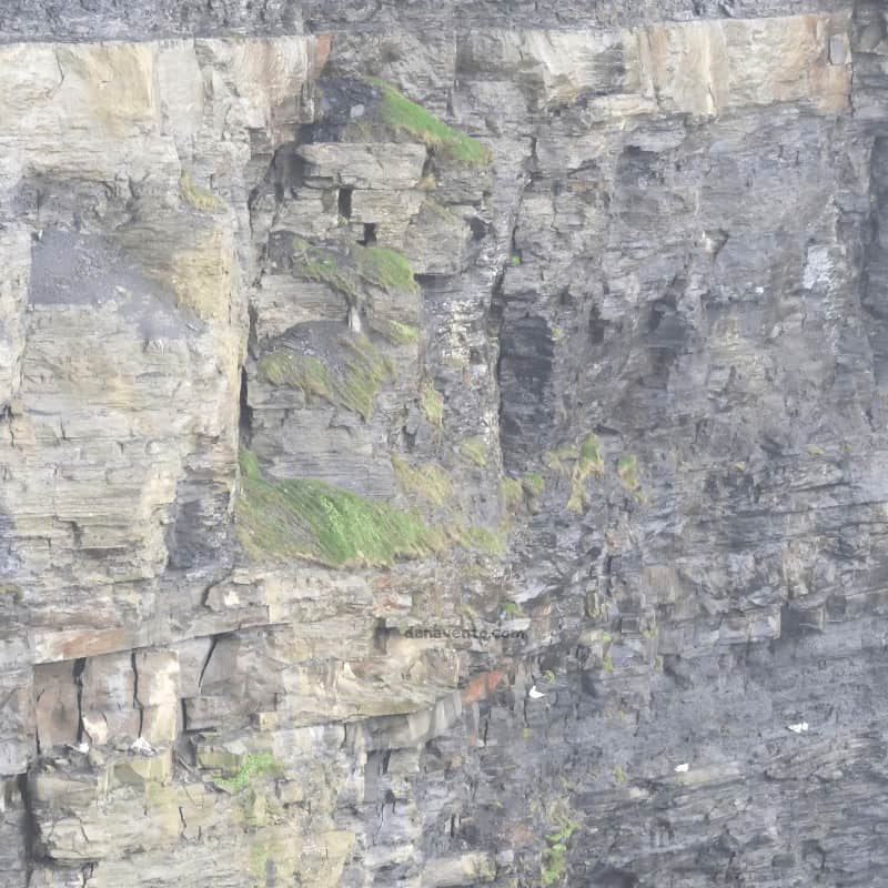 South Platform at The Cliffs of Moher