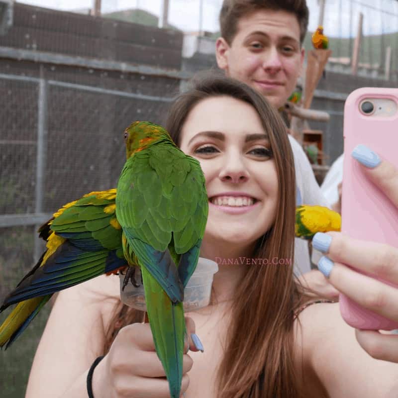 Sint Maarten Bird Sanctuary with my kids and birds 