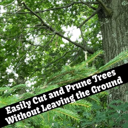 Easily Cut and Prune Trees Without Leaving the Ground, prune, nip, cut, no ladder required, recharge, battery, 40V, Lithium Ion, Yard, DIY, Cleanup, Fix Up, Outdoor work, Yard work, Pole Saw, finish, work outside, cleanup outdoors, yard word never ends, RYOBI tools