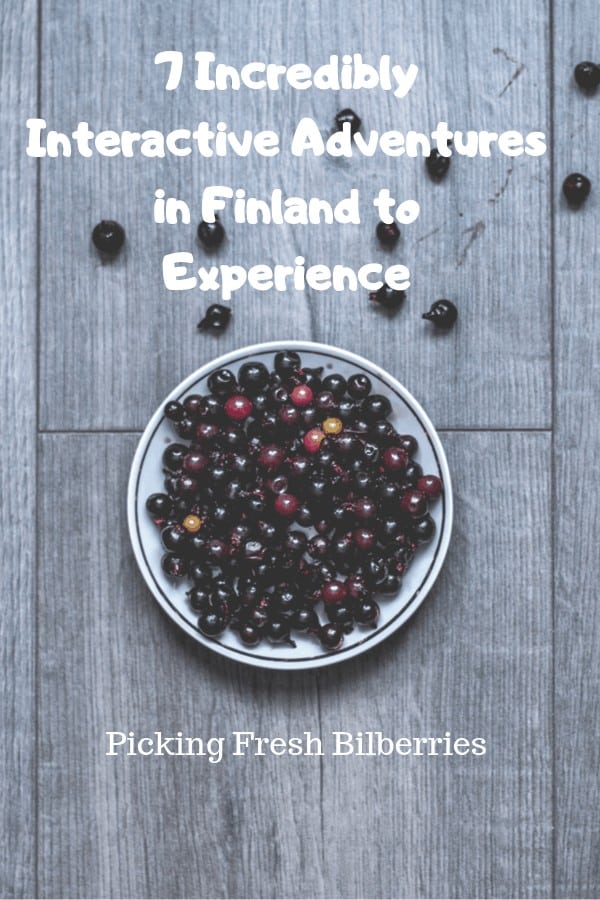 7 Incredibly Interactive Adventures in Finland to Experience, reindeer, ice castle, snow castle, things to do, where to stay, foods, Finnish, Findland, Lapland, Arctic Circle, Reindeer Farms, Santa Claus, Berry Picking, Mushroom PIcking, Foraging, natural, healthy lifestyle, outdoors, indoors, families, friends, USA to Finland, Fly, vacation, experience, destination, snow time, dog sledding, cross country skiing, lights, Northern Lights, Bucketlist, wish list, things to see when in Finland