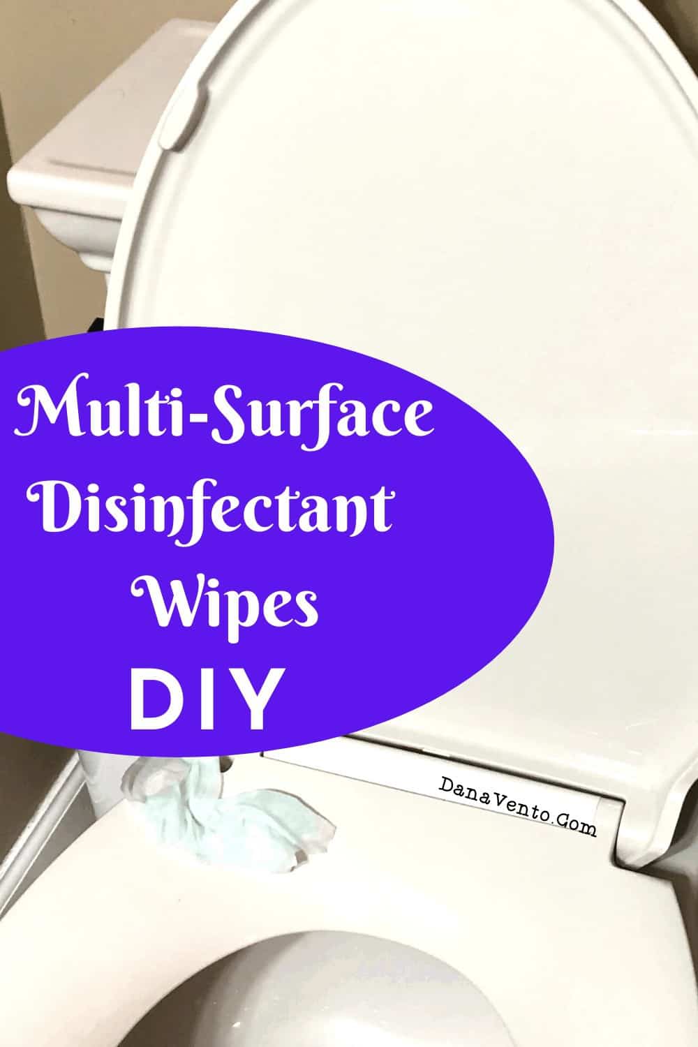DIY Disinfectant Wipes Multisurface Cleaning, on toilet seat 