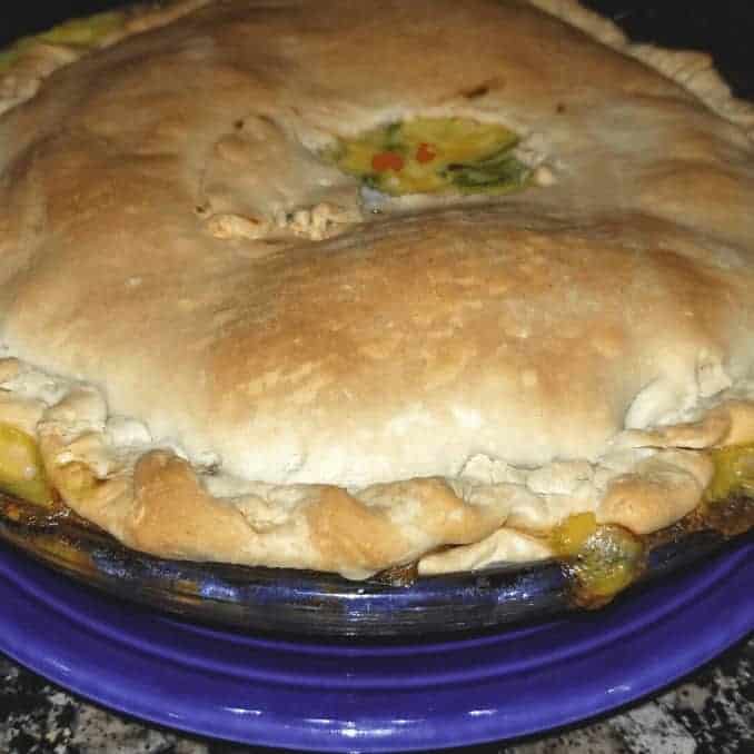 Really Easy and Delicious Chicken Pot Pie baked up close 