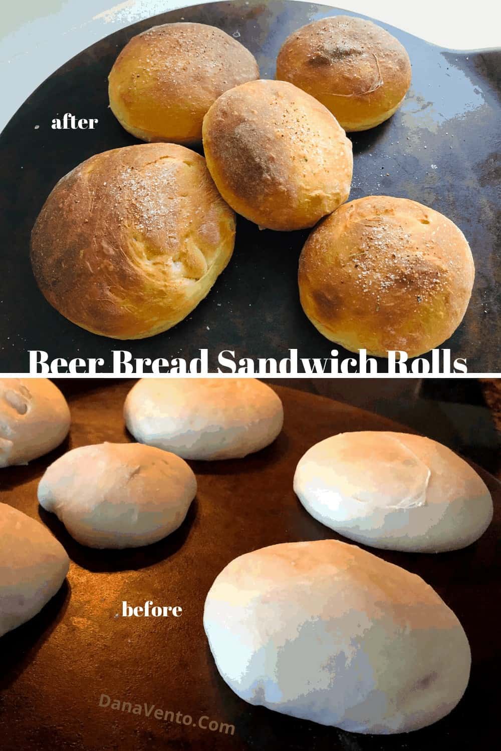 rolls before and after baking