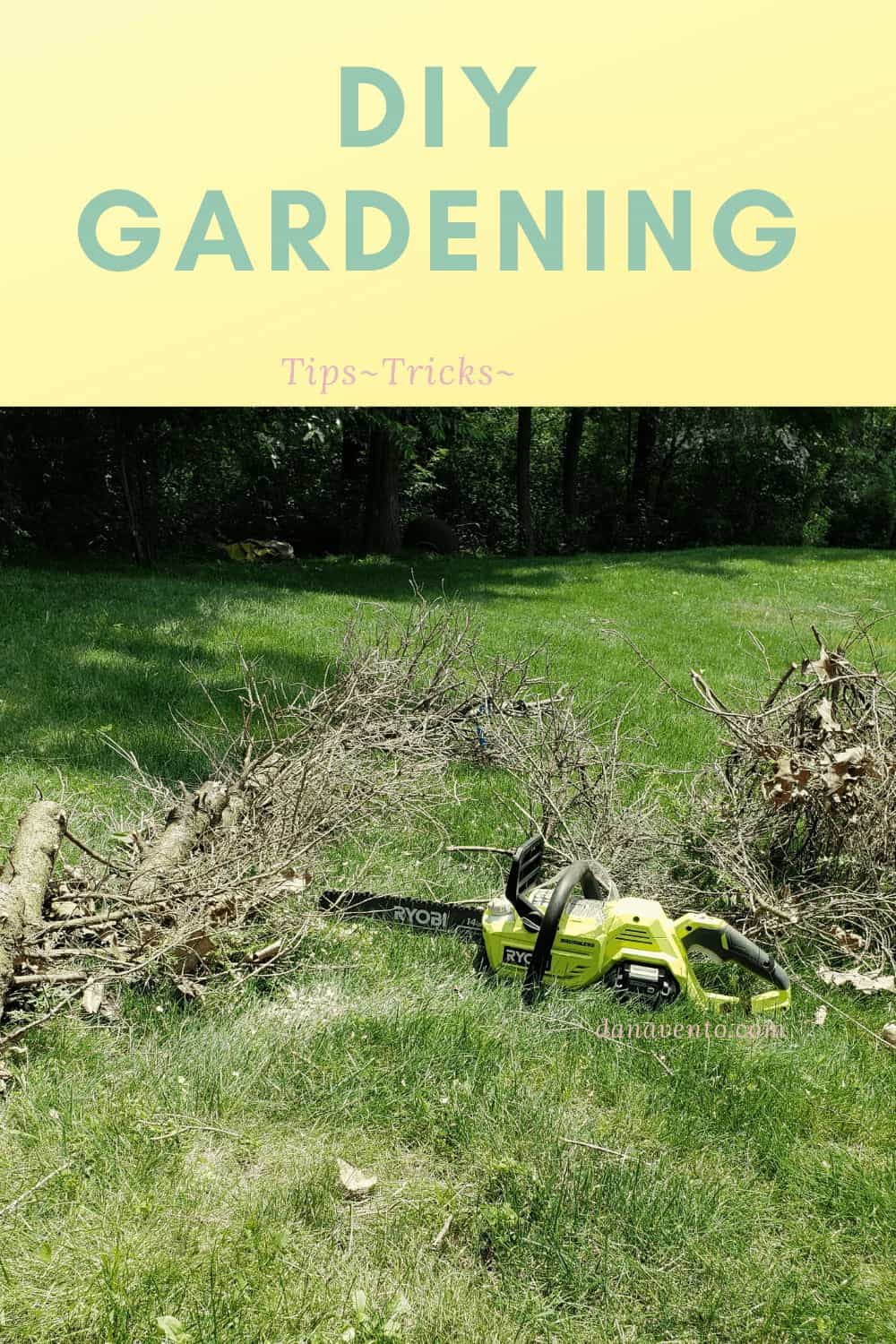 DIY Gardening And Power Tools 