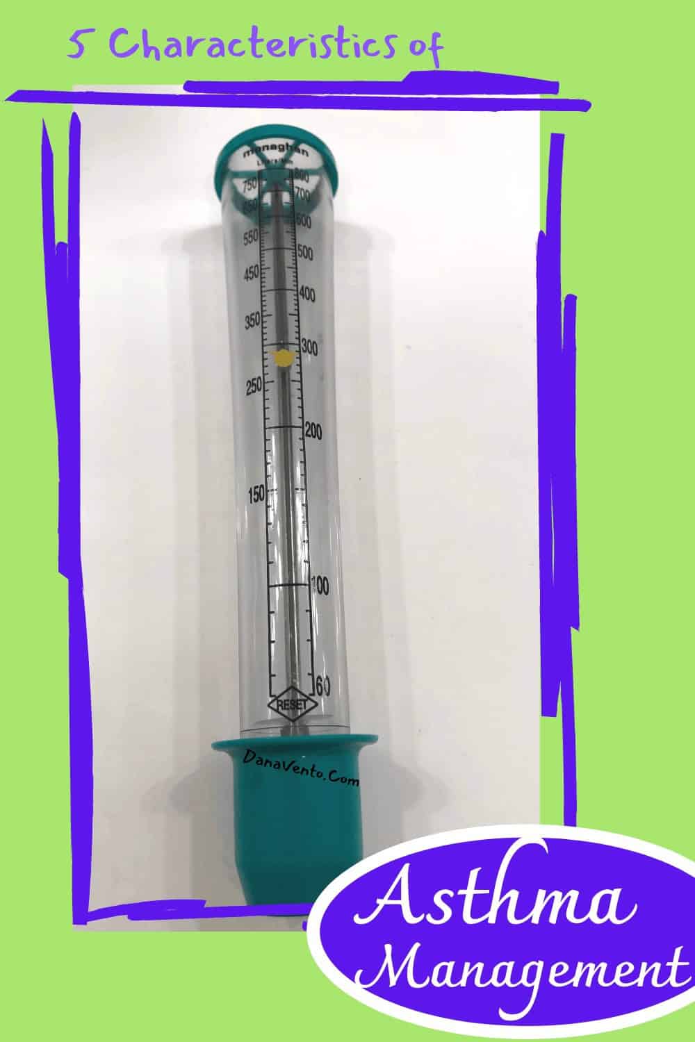 peak flow meter for asthma