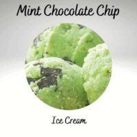 Mint Chocolate Chip Ice Cream scoops up close