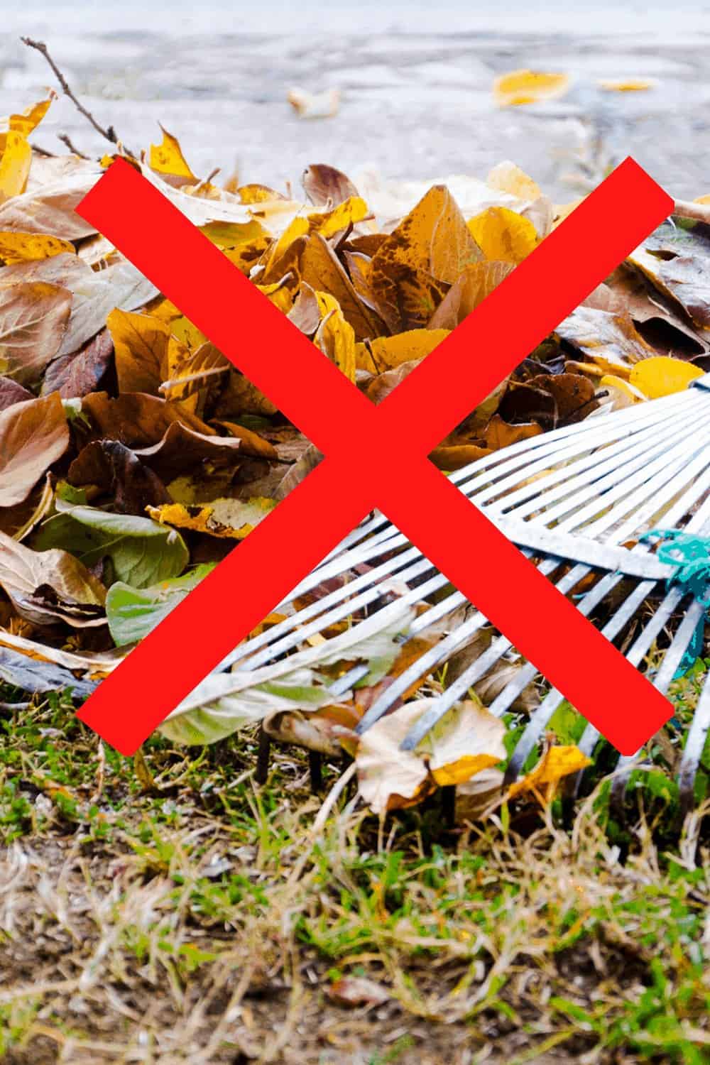 11 Easy DIY Ideas For Fall Yard Cleanup + Garden Chores +no more rakes for leaves