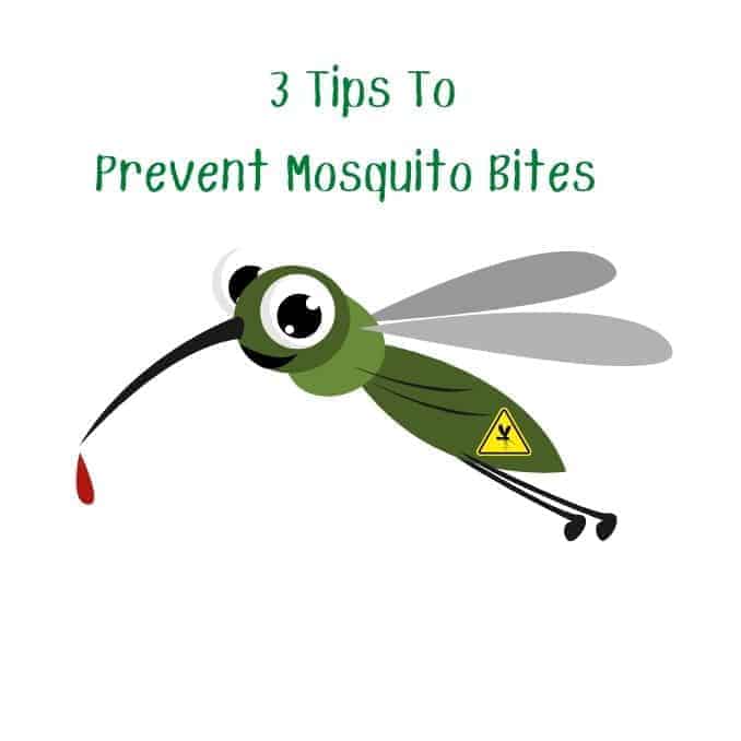 3 Tips To Prevent Mosquito Bites