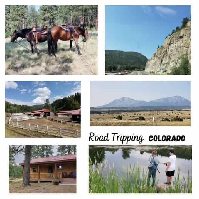 Colorado Springs To Durango Horses Garden of the Gods 