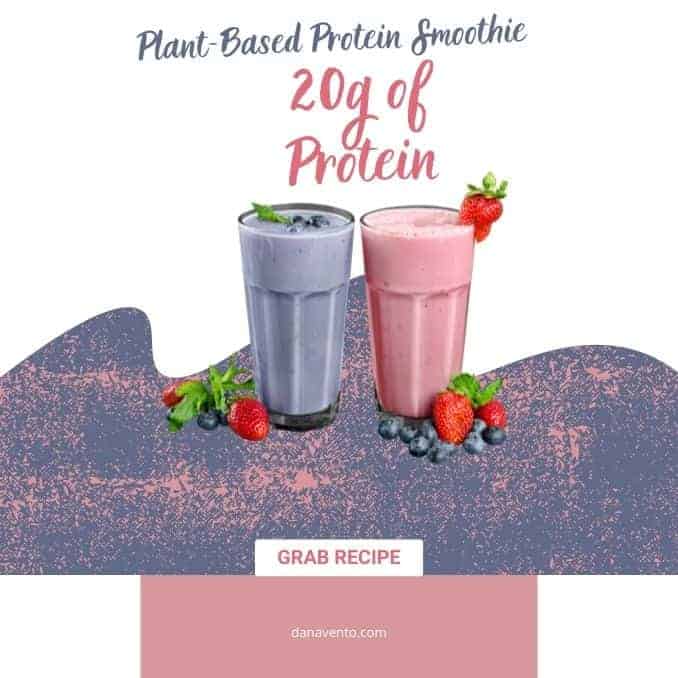 Amazing Plant Based Protein Smoothie Drink G Of Yum