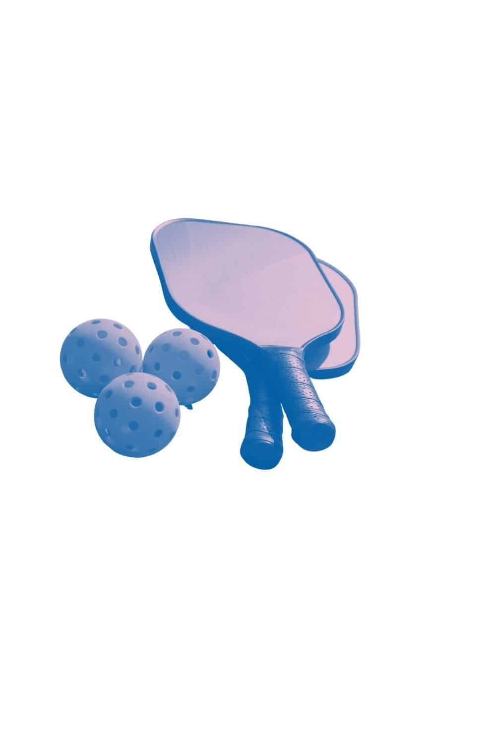 pickleball paddle for beginners a set of 2