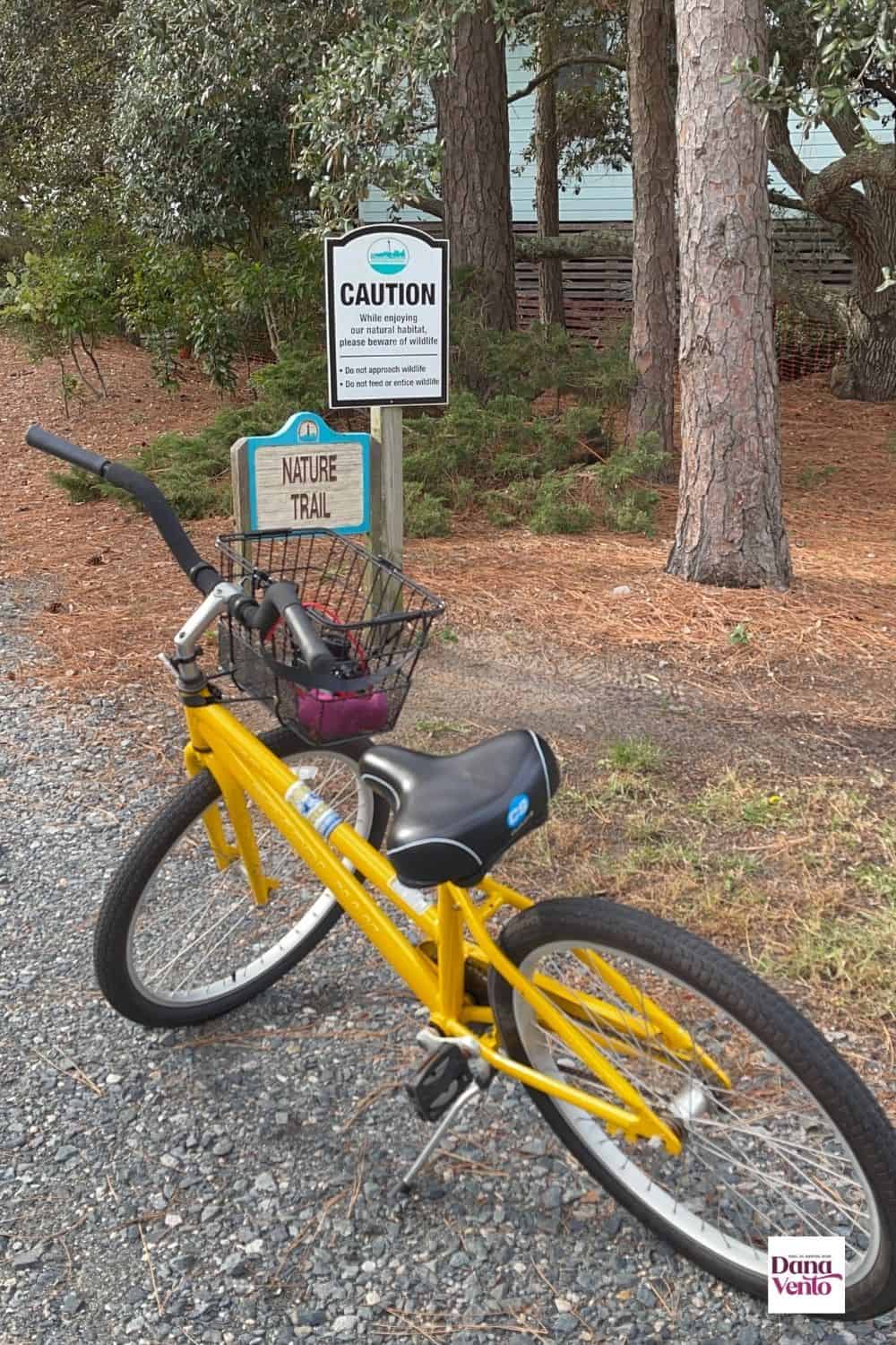 Bike with basket from Outer Banks premier outfitter on biking trail in Corolla