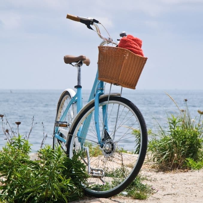 Discovering Anna Maria Island Biking Bike with basket