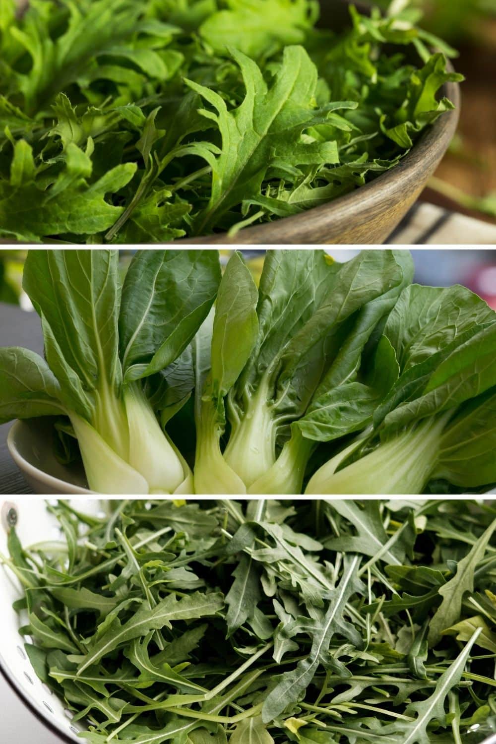 power green veggie options of kale bokchoy and arugula