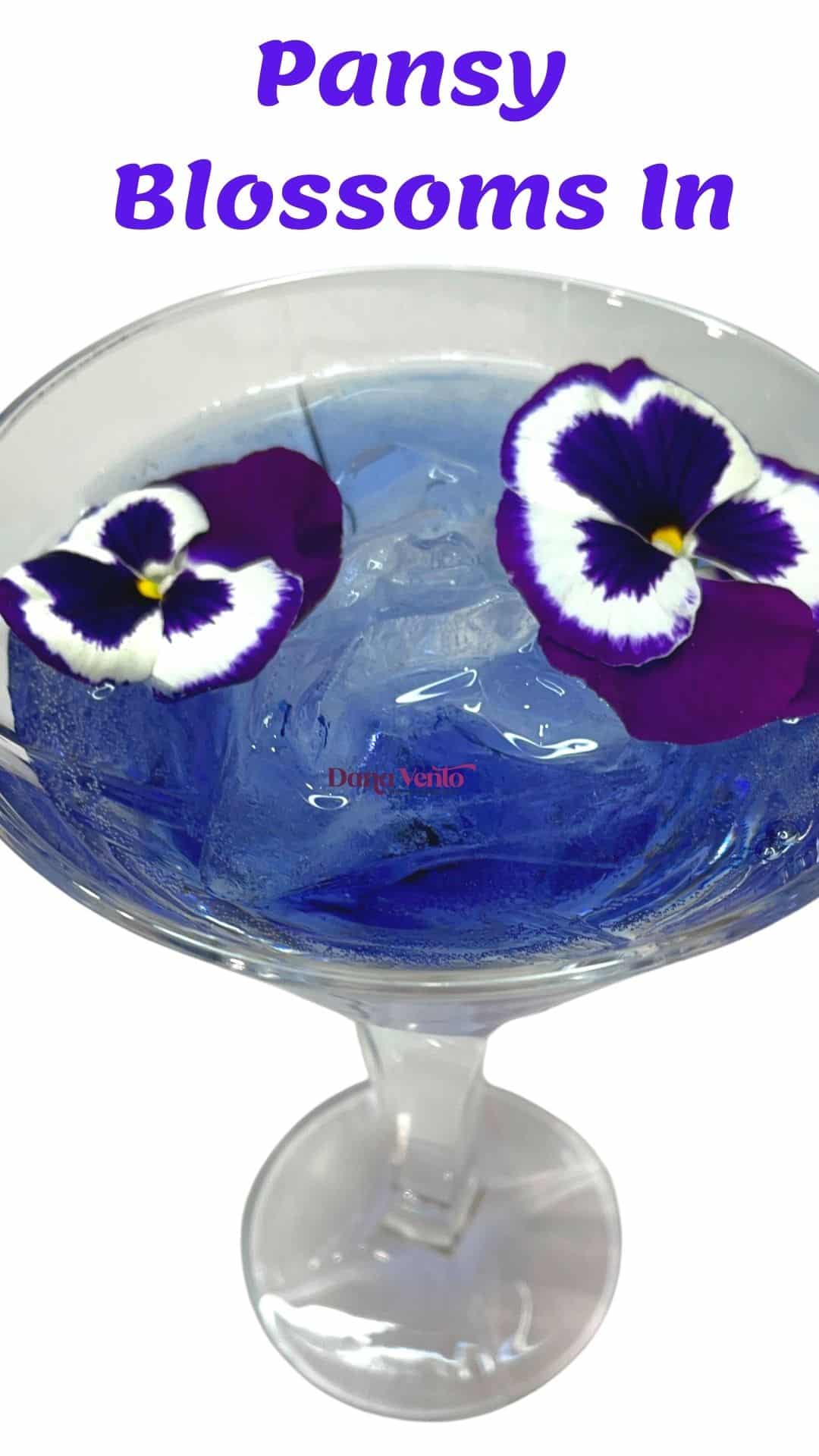 Pansy Blossoms Added Into The Purple Peach Gin Prosecco Cocktail