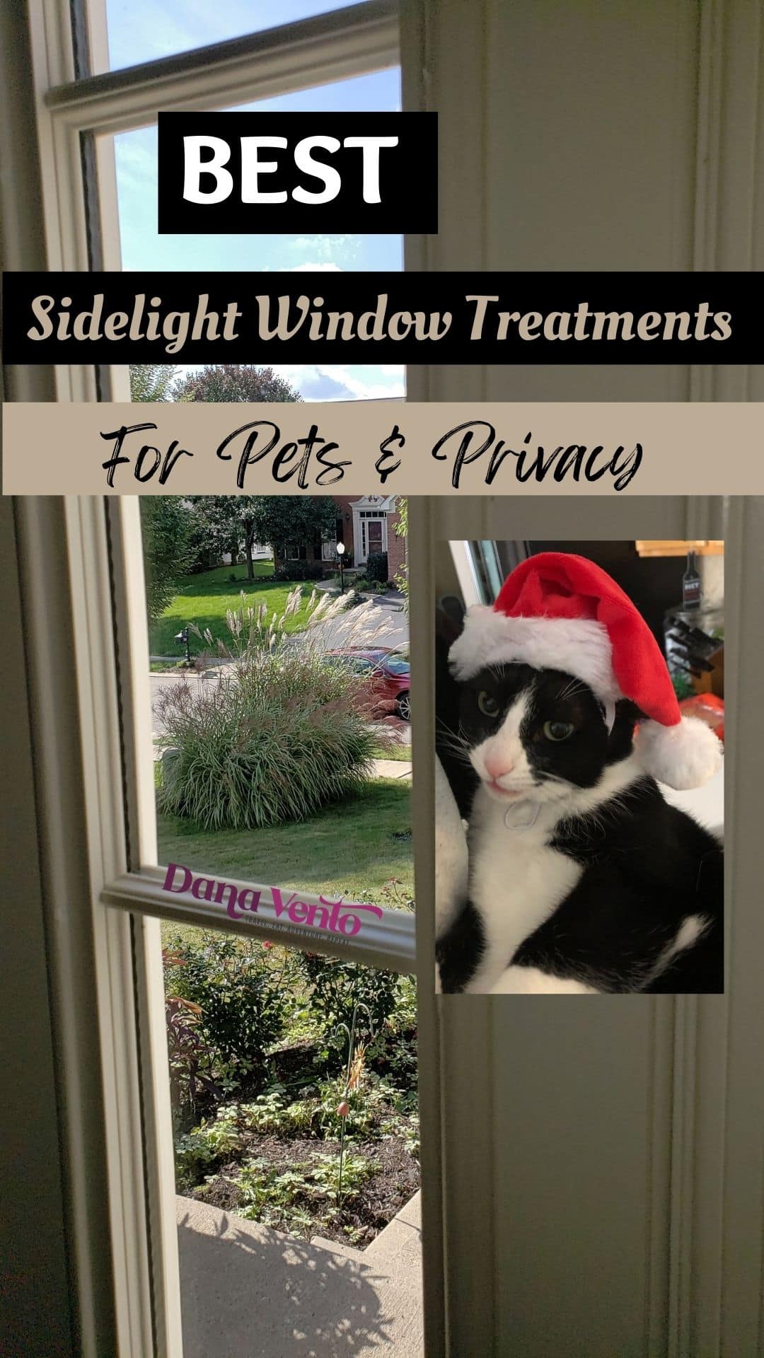 best sidelight window treatments for pets and privacy